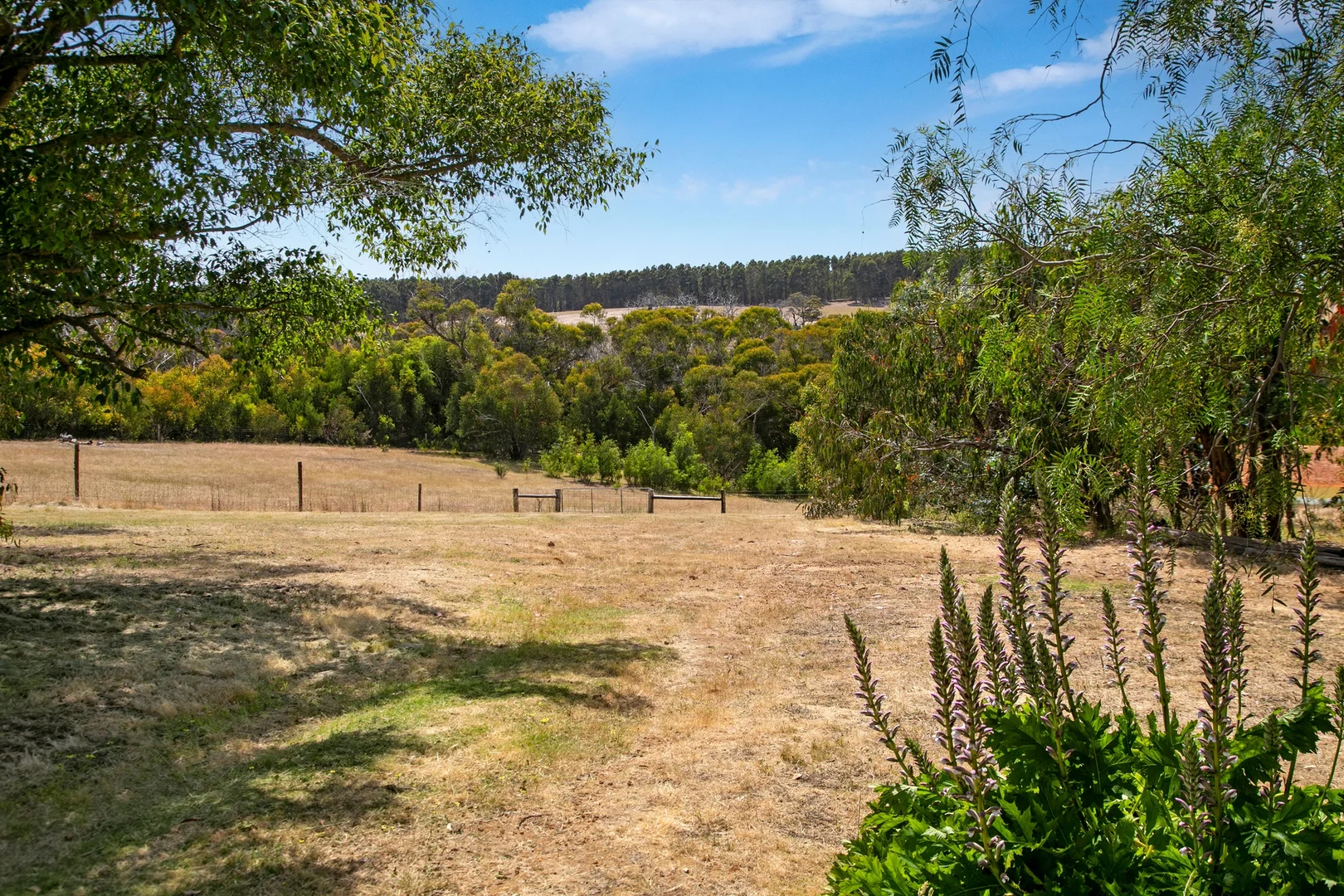 Additional image 31 of 157 Berrymans Road, Gosse SA 5223