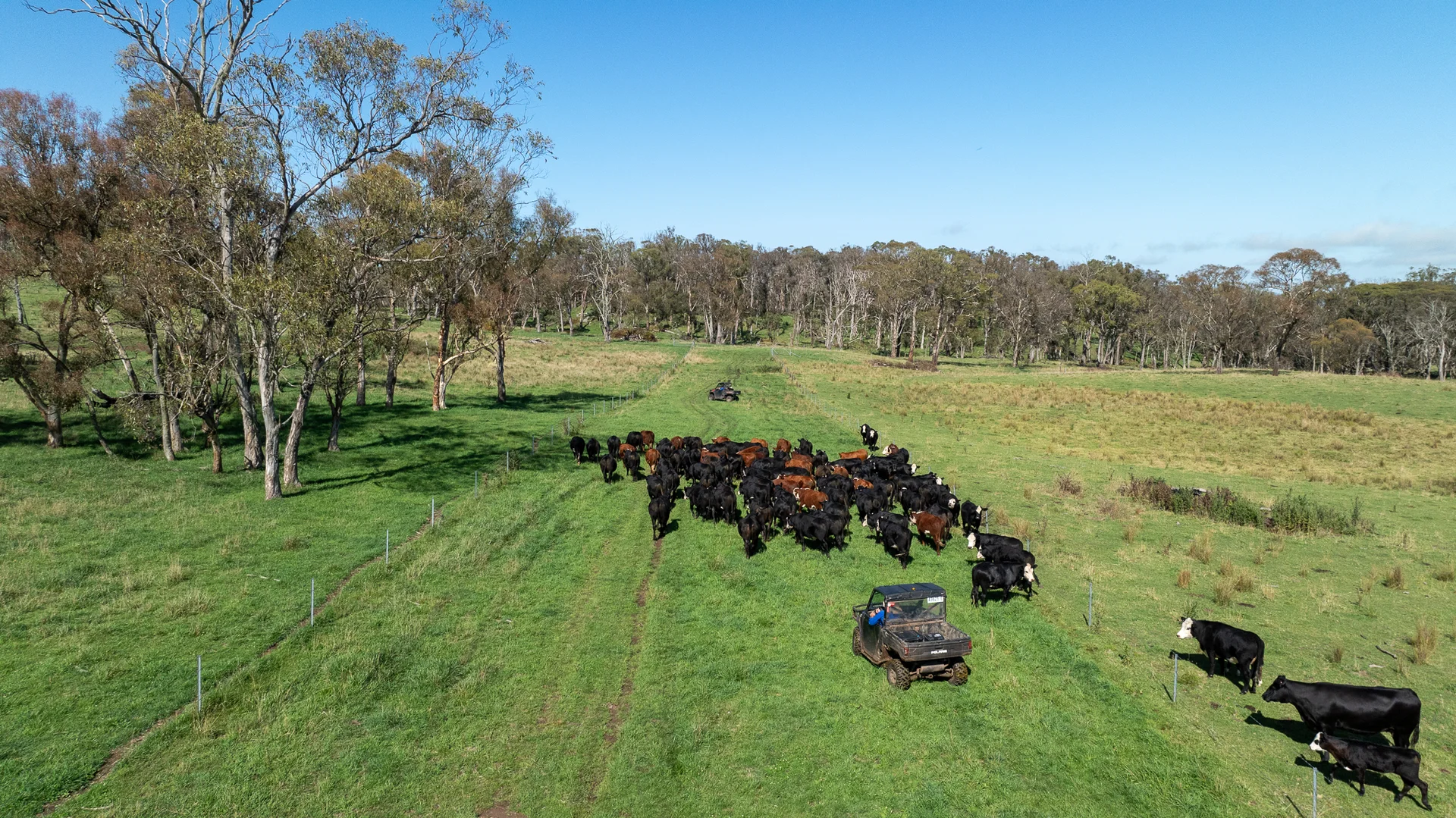 Additional image 8 of 1763 Wongwibinda Road, Armidale NSW 2350
