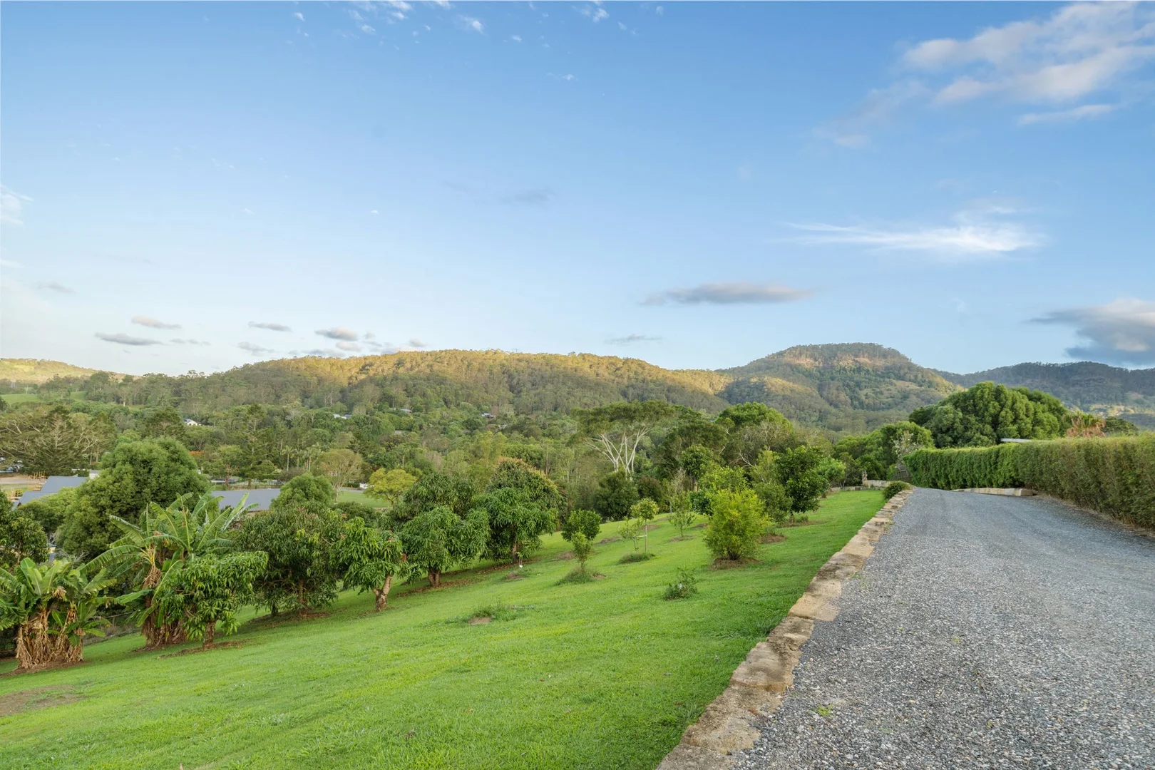 Additional image 6 of 43 Gibsonville Street, Tallebudgera Valley QLD 4228