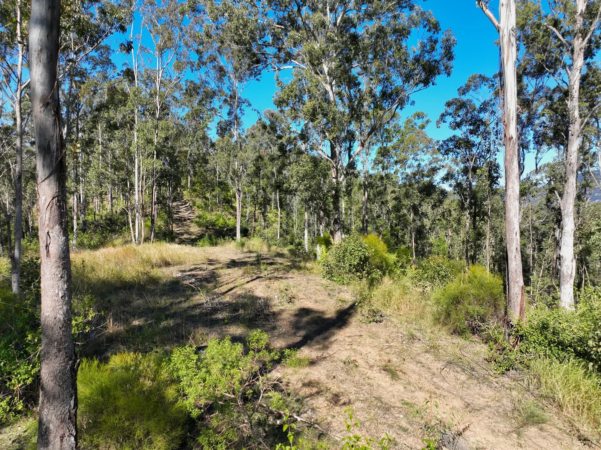 Additional image 23 of 4339 Summerland Way, Unumgar NSW 2474