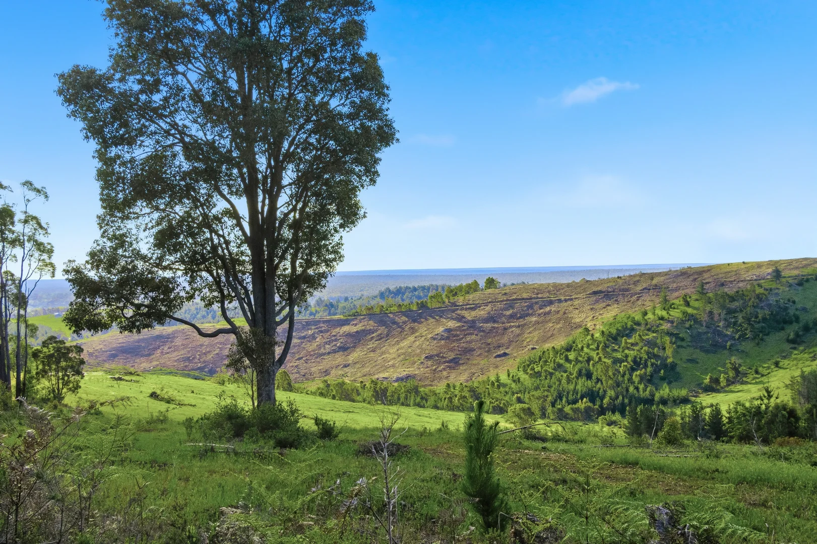 Additional image 12 of 7953 Brockman Highway, Nannup WA 6275