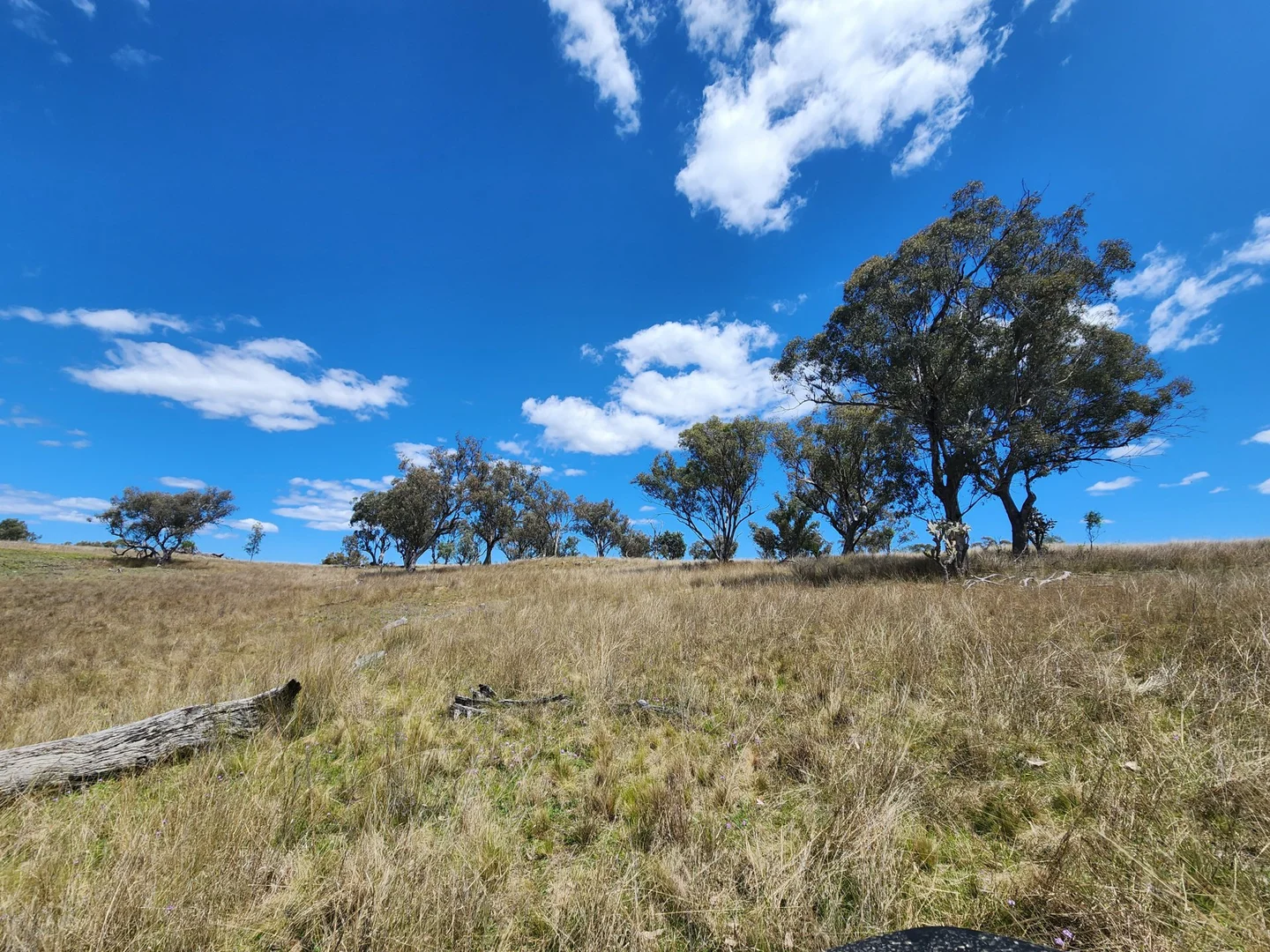 Additional image 5 of Lot 11 Pikedale Lane, Stanthorpe QLD 4380