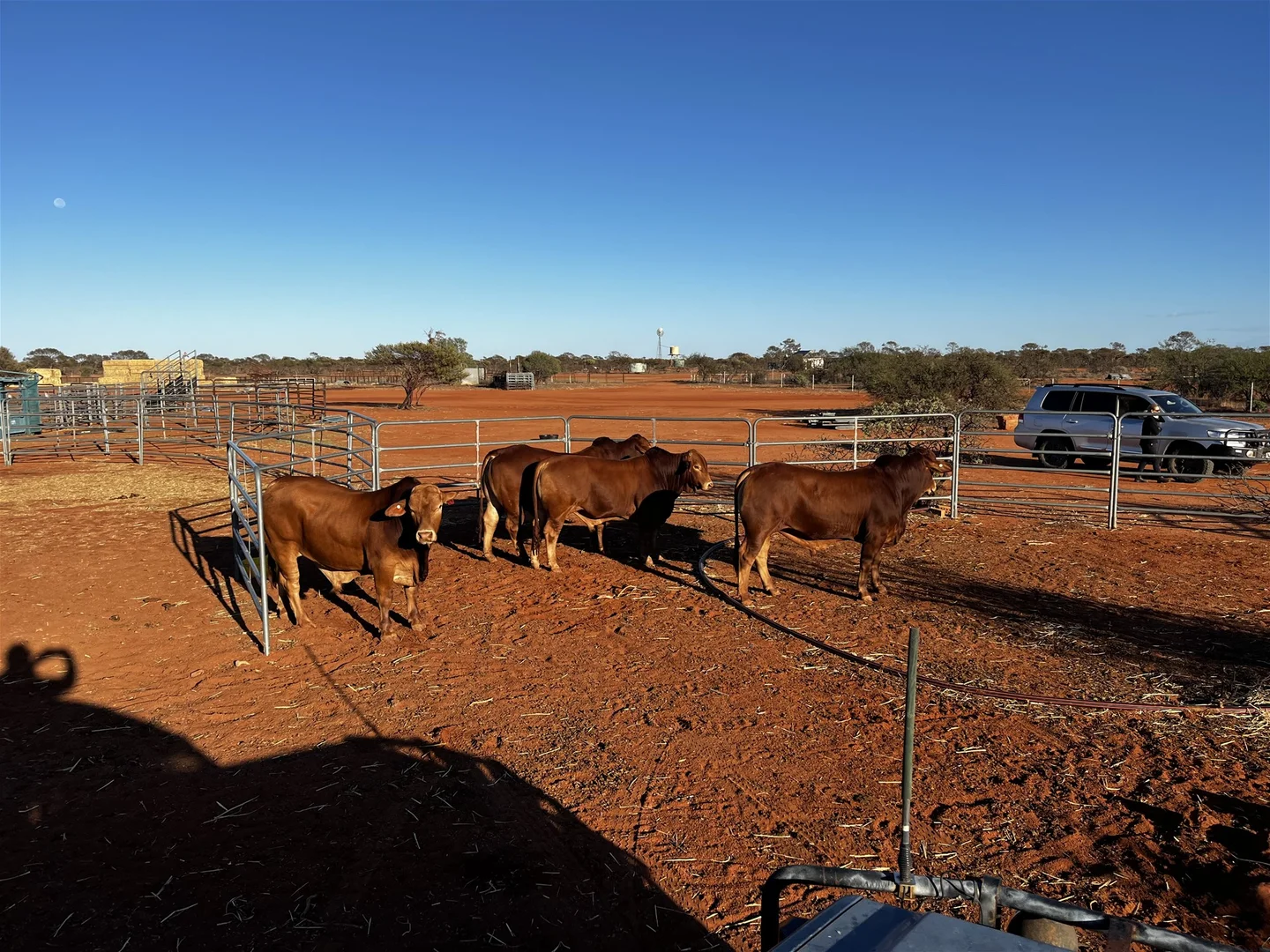 Additional image 25 of Meka Station, Yalgoo WA 6635