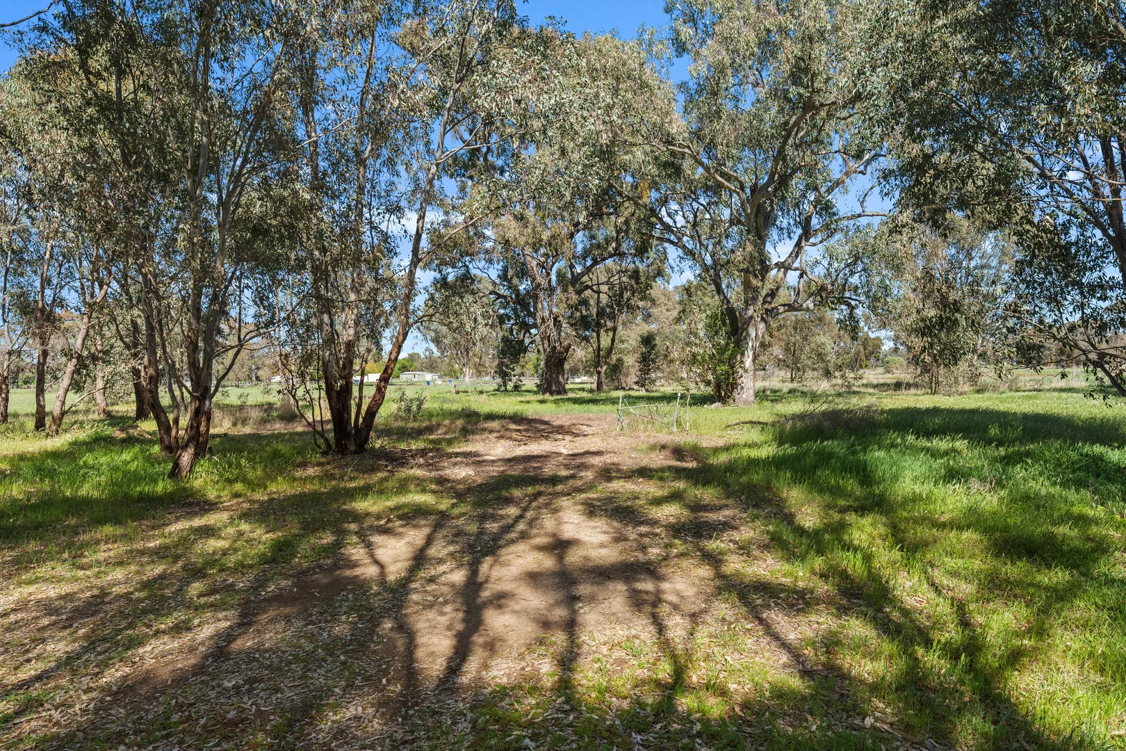 Additional image 12 of 64 Mansfield Road, Benalla VIC 3672