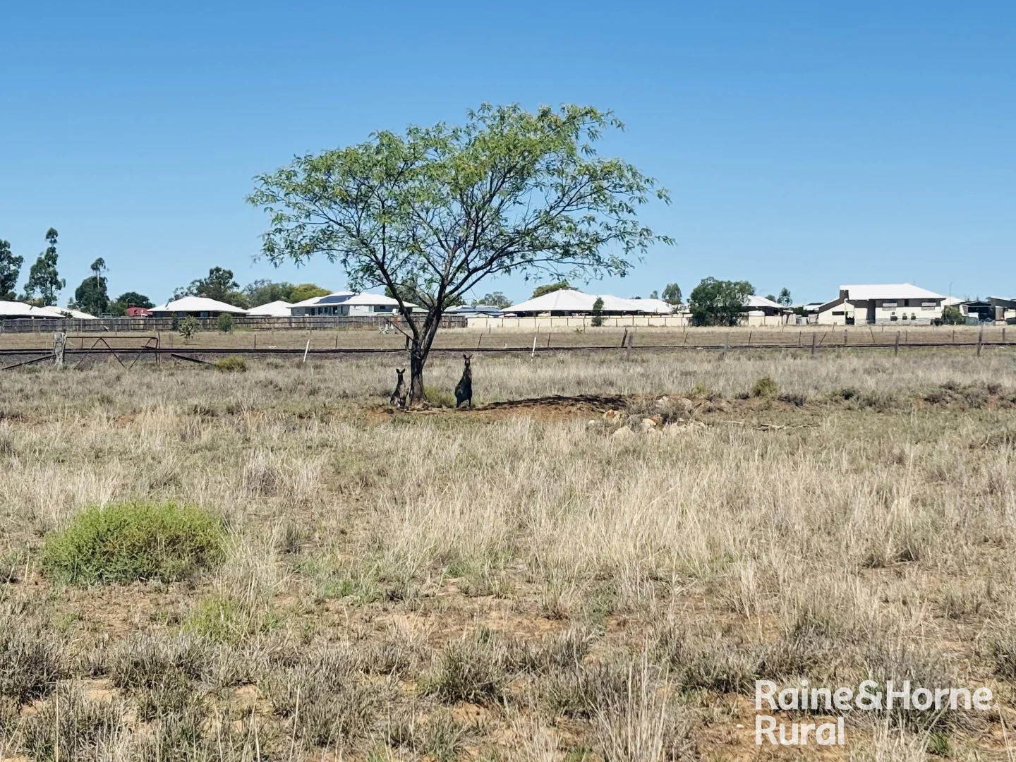 Additional image 7 of 61 Upper Bowen Street, Roma QLD 4455