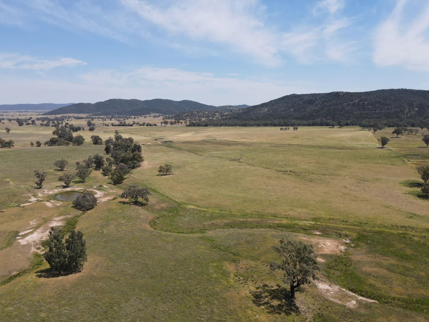 Additional image 9 of "Babynda" 829 Eulimore Road, Eugowra NSW 2806