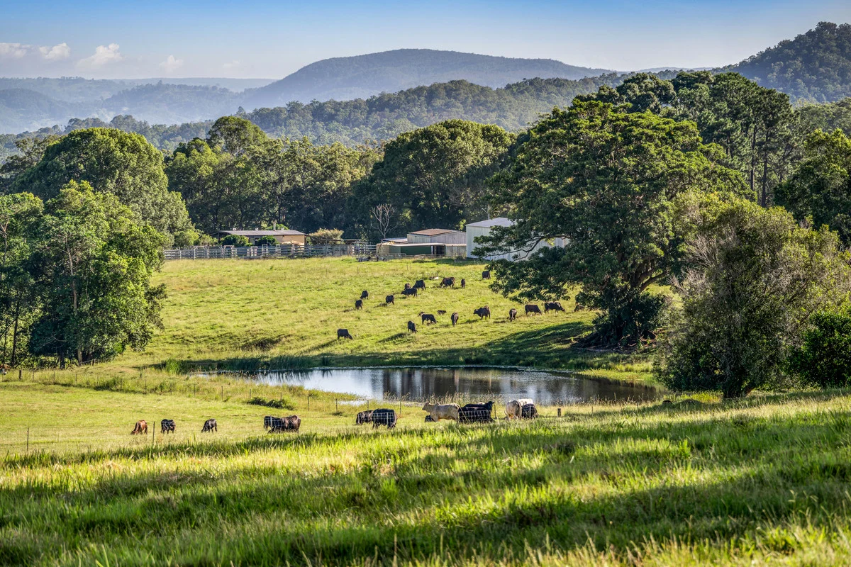 Additional image 2 of 81 Heath Road, Stanmore QLD 4514