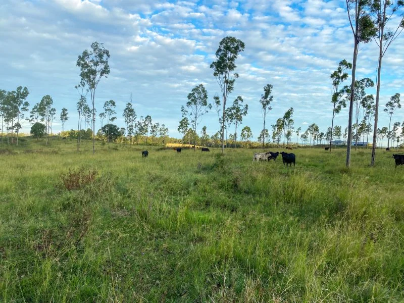Additional image 3 of 225 BEILS ROAD, Kingaroy QLD 4610