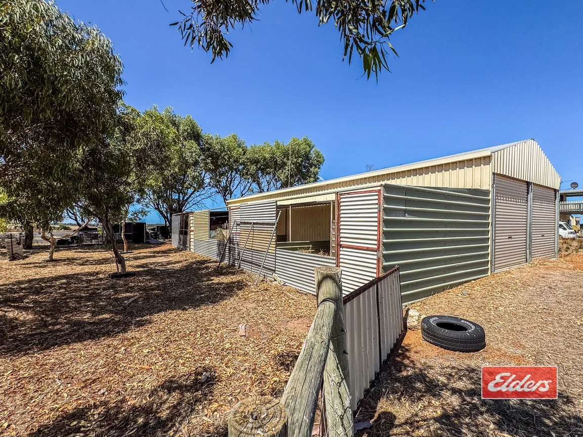 Additional image 14 of 114 Fane Road, Bonniefield WA 6525