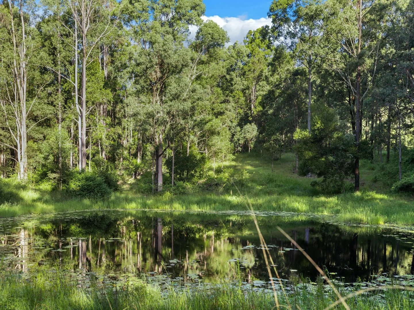 Additional image 6 of Duck Creek NSW 2469