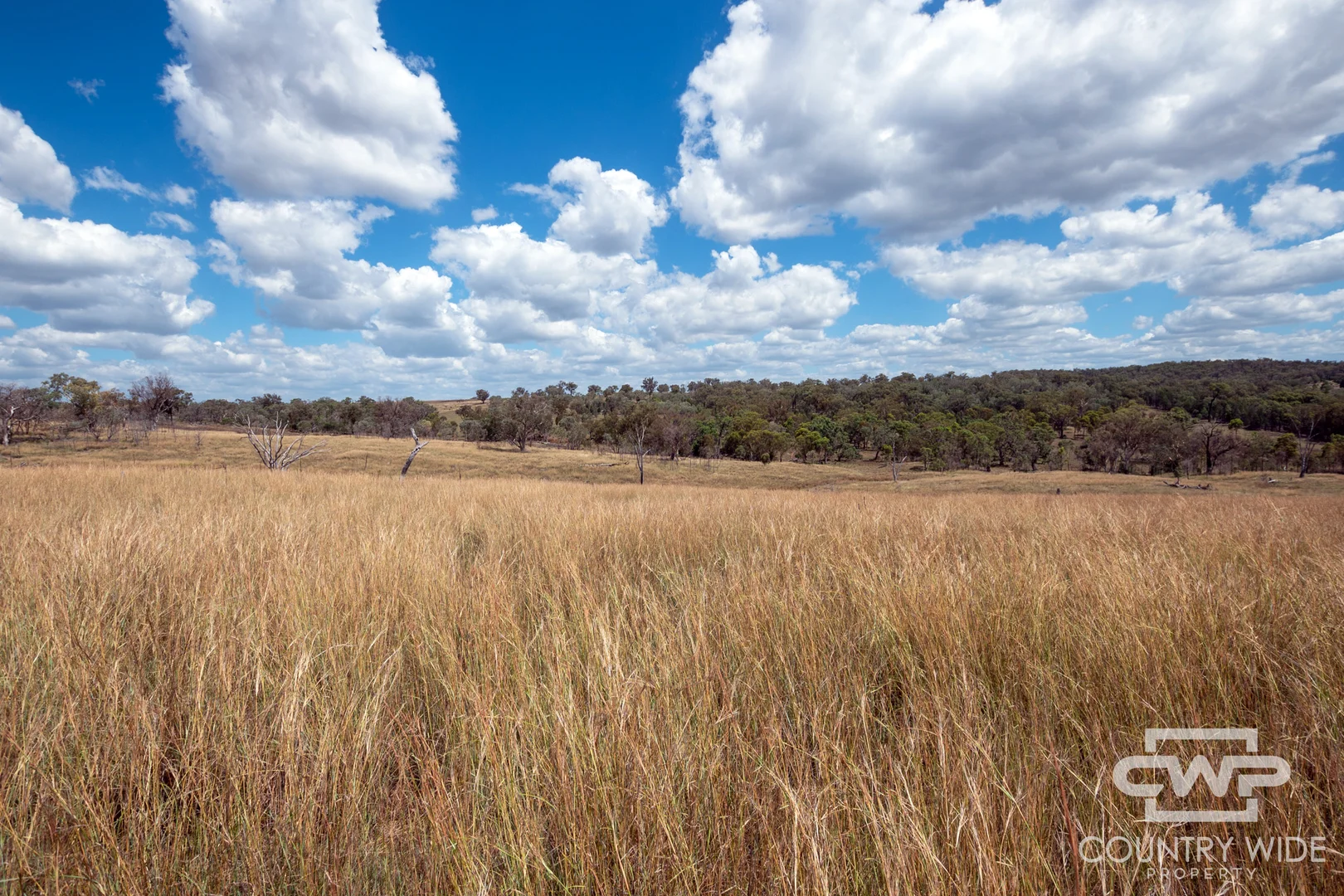 Additional image 36 of 1975 Nullamanna Road, Inverell NSW 2360