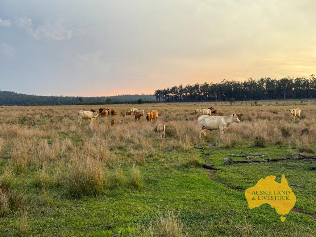 373 Ormonde Road, Monogorilby QLD 4626