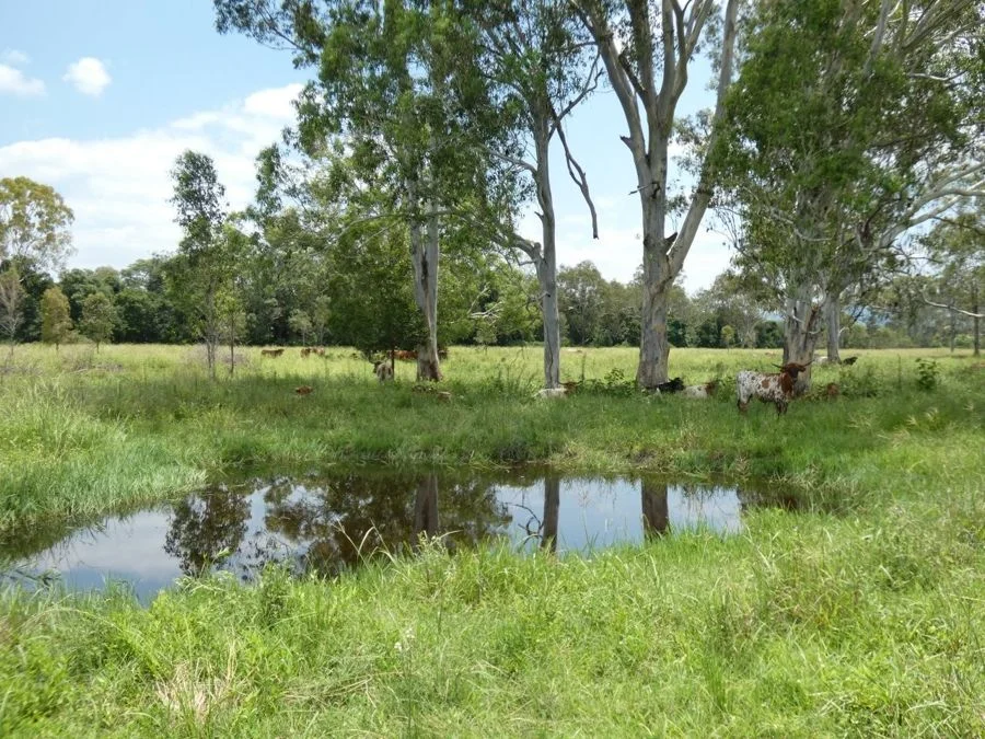 Additional image 29 of 1097 Blackman Gap Road, Colosseum QLD 4677