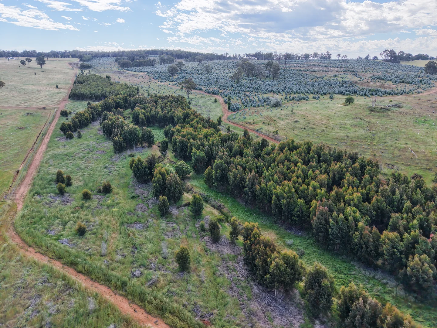 Additional image 14 of Lot 1251 Peninsula Road, Bridgetown WA 6255
