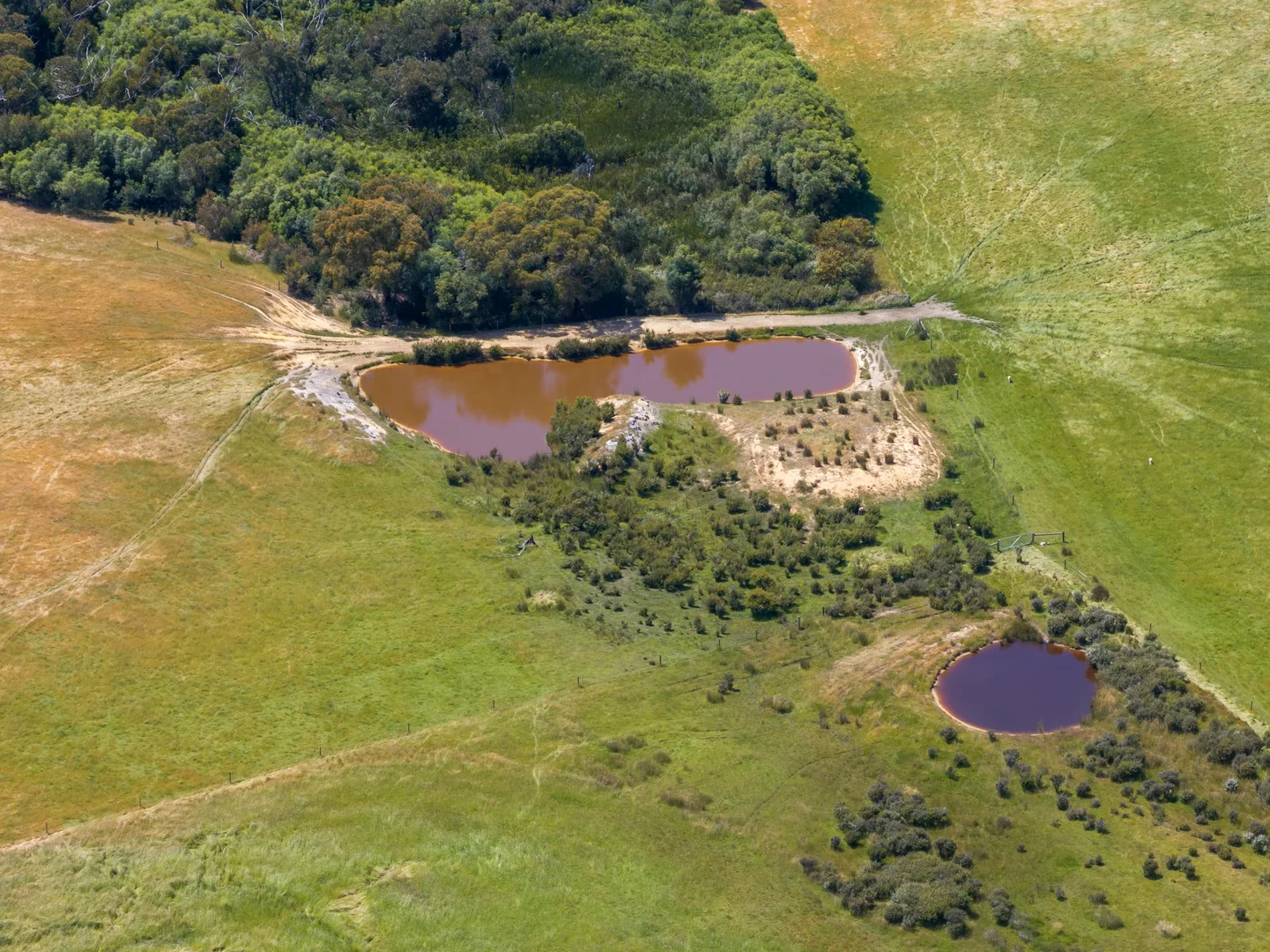 Additional image 21 of 157 Berrymans Road, Gosse SA 5223