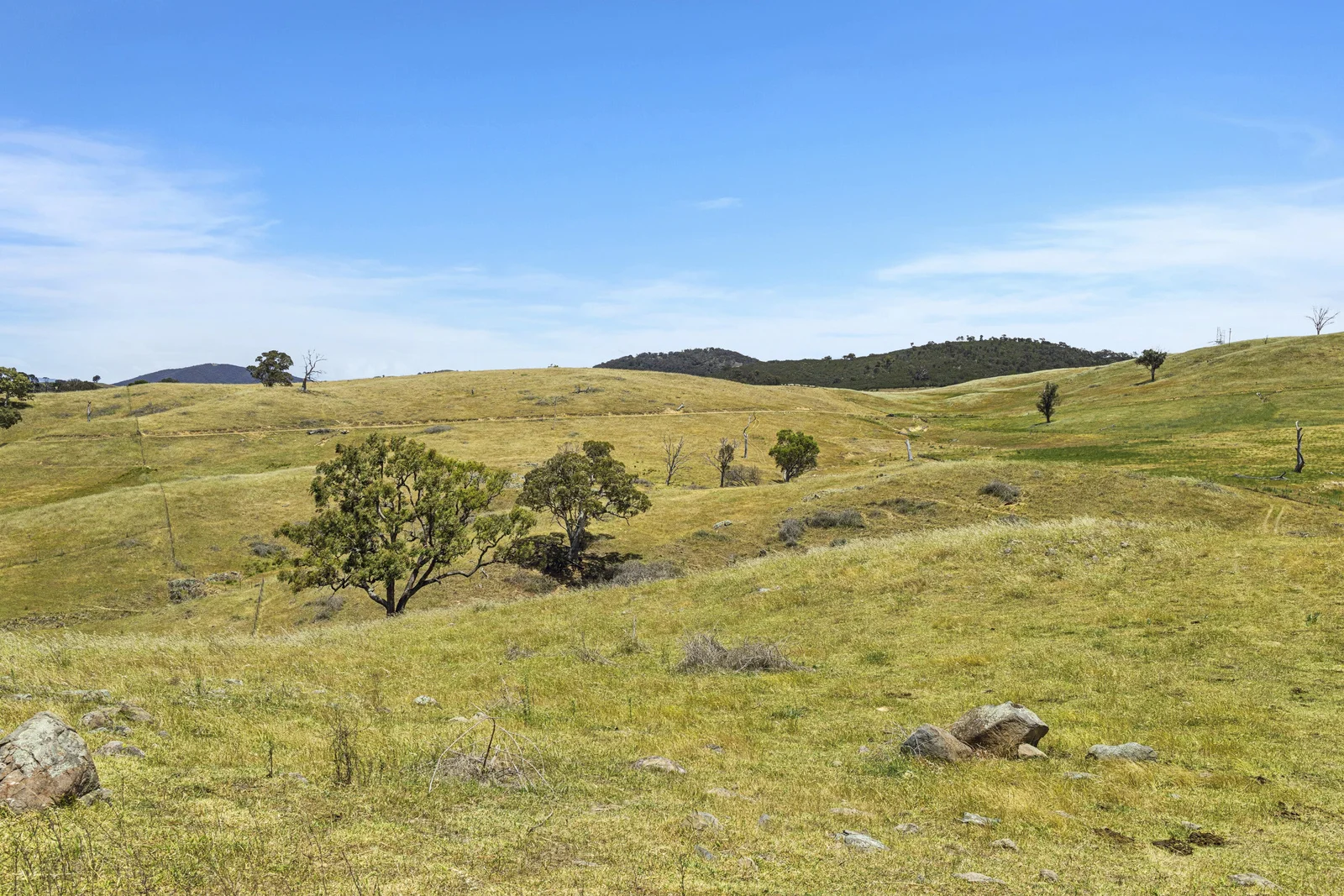 Additional image 4 of Lot 1/414 Horseshoe Rd, Mullion NSW 2582