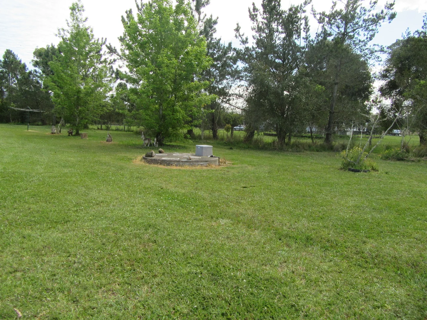 Additional image 40 of 10 Markwell Back Road, Bulahdelah NSW 2423