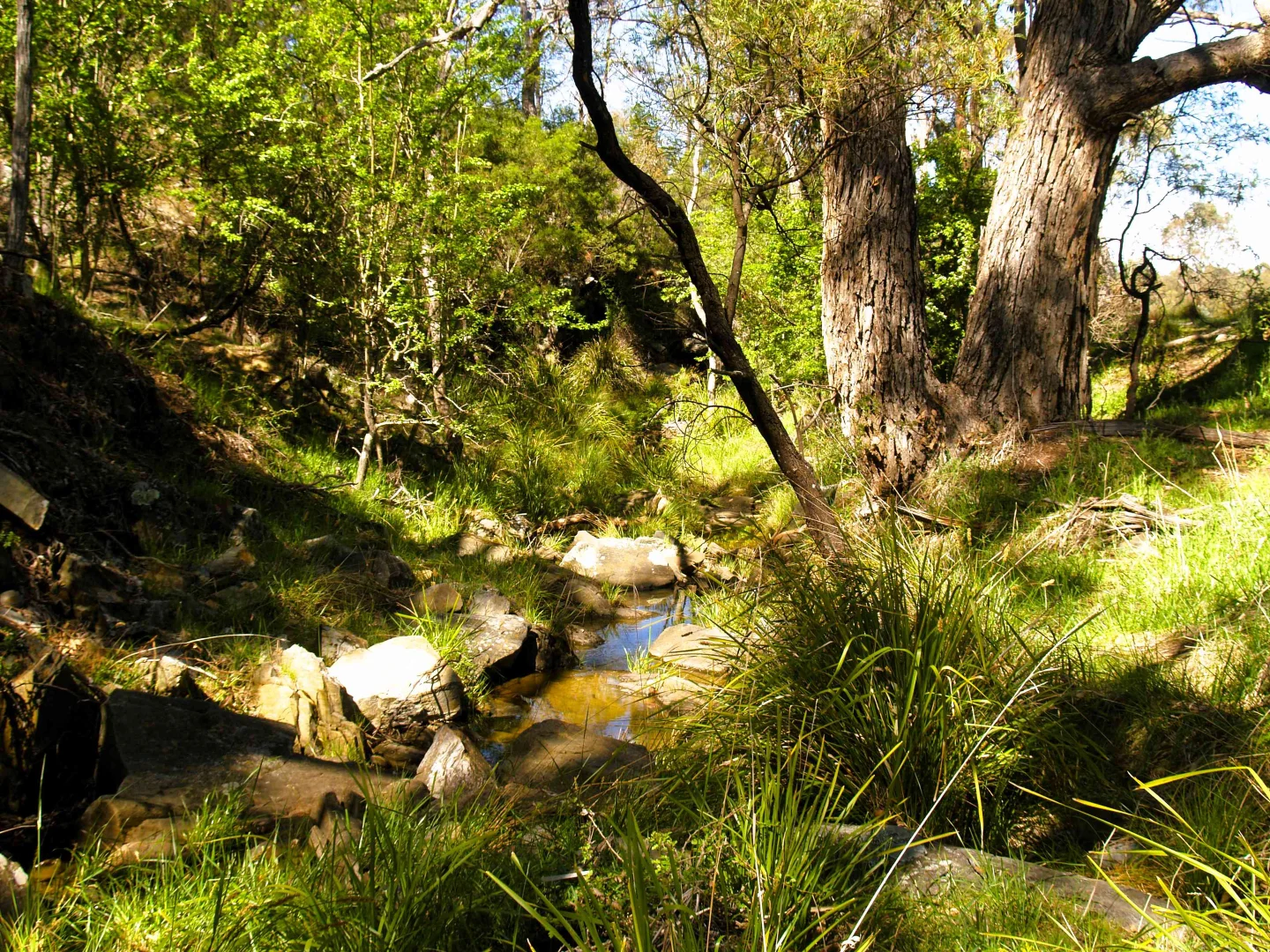 Additional image 21 of 198 Wurungul Lane, Gundaroo NSW 2620