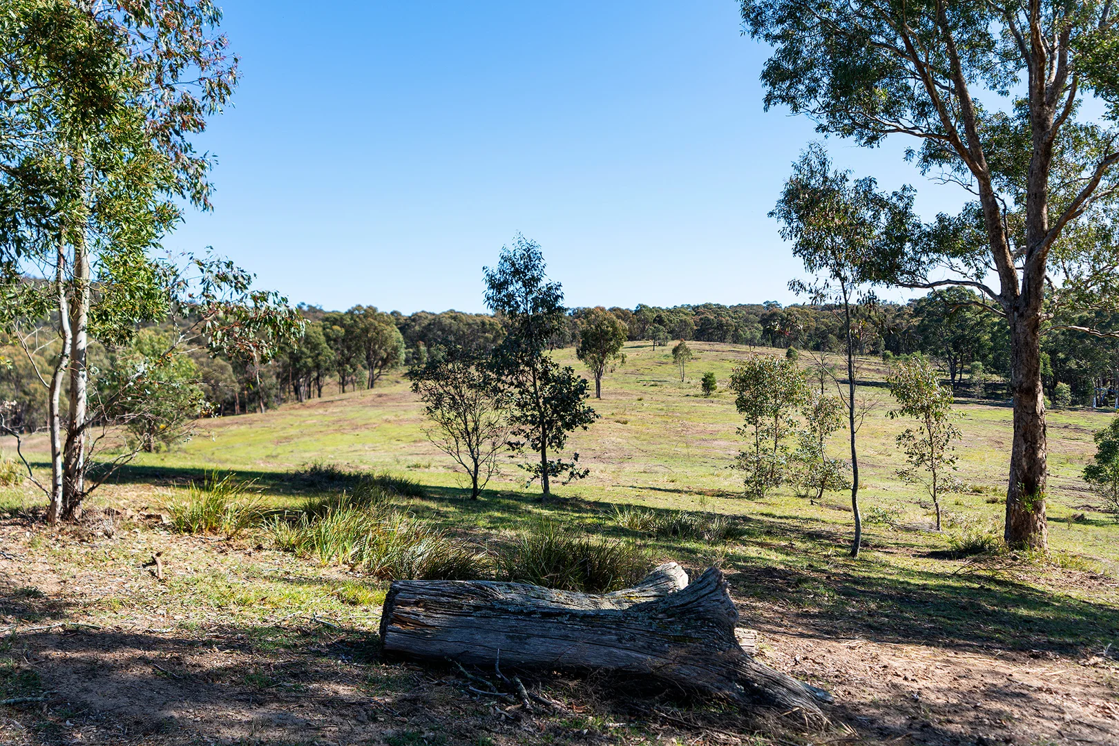 Additional image 7 of 255 Taradale Road, Drummond North VIC 3446