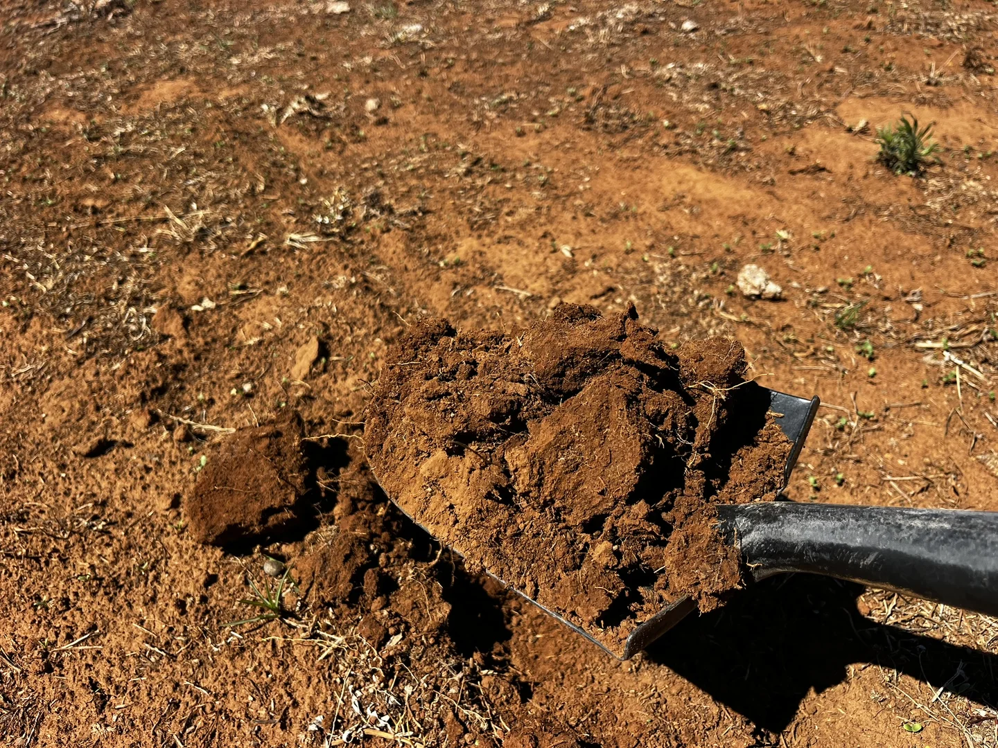 Additional image 9 of Address Via Request Road, Grenfell NSW 2810