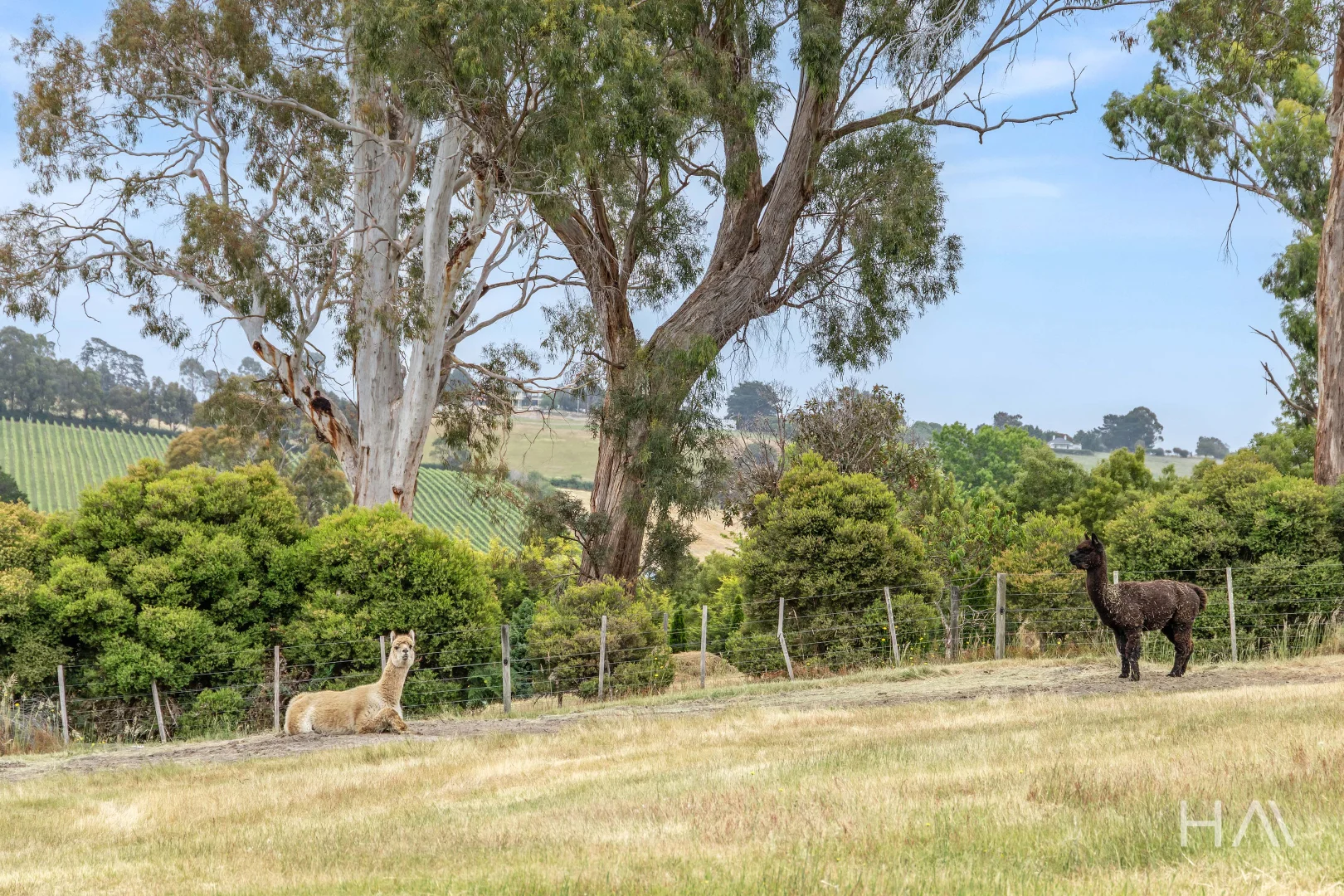 Additional image 27 of 29 Caledonia Drive, Relbia TAS 7258