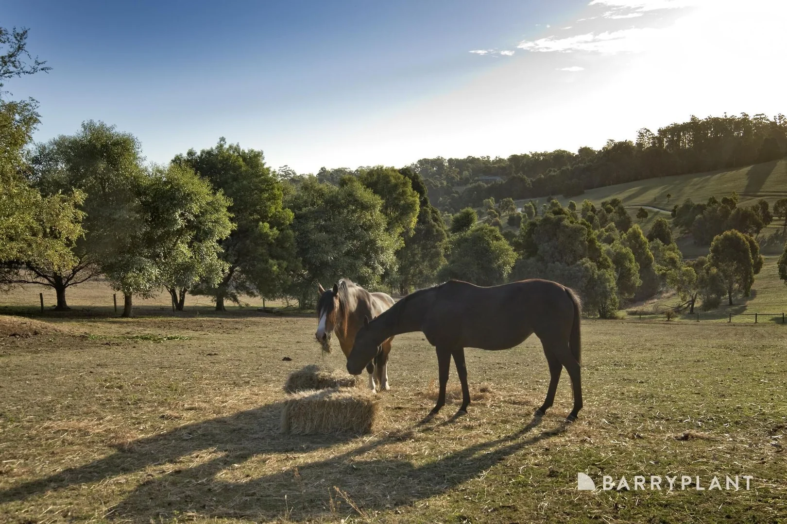 Additional image 11 of 28 Beaconsfield-Emerald Road, Emerald VIC 3782