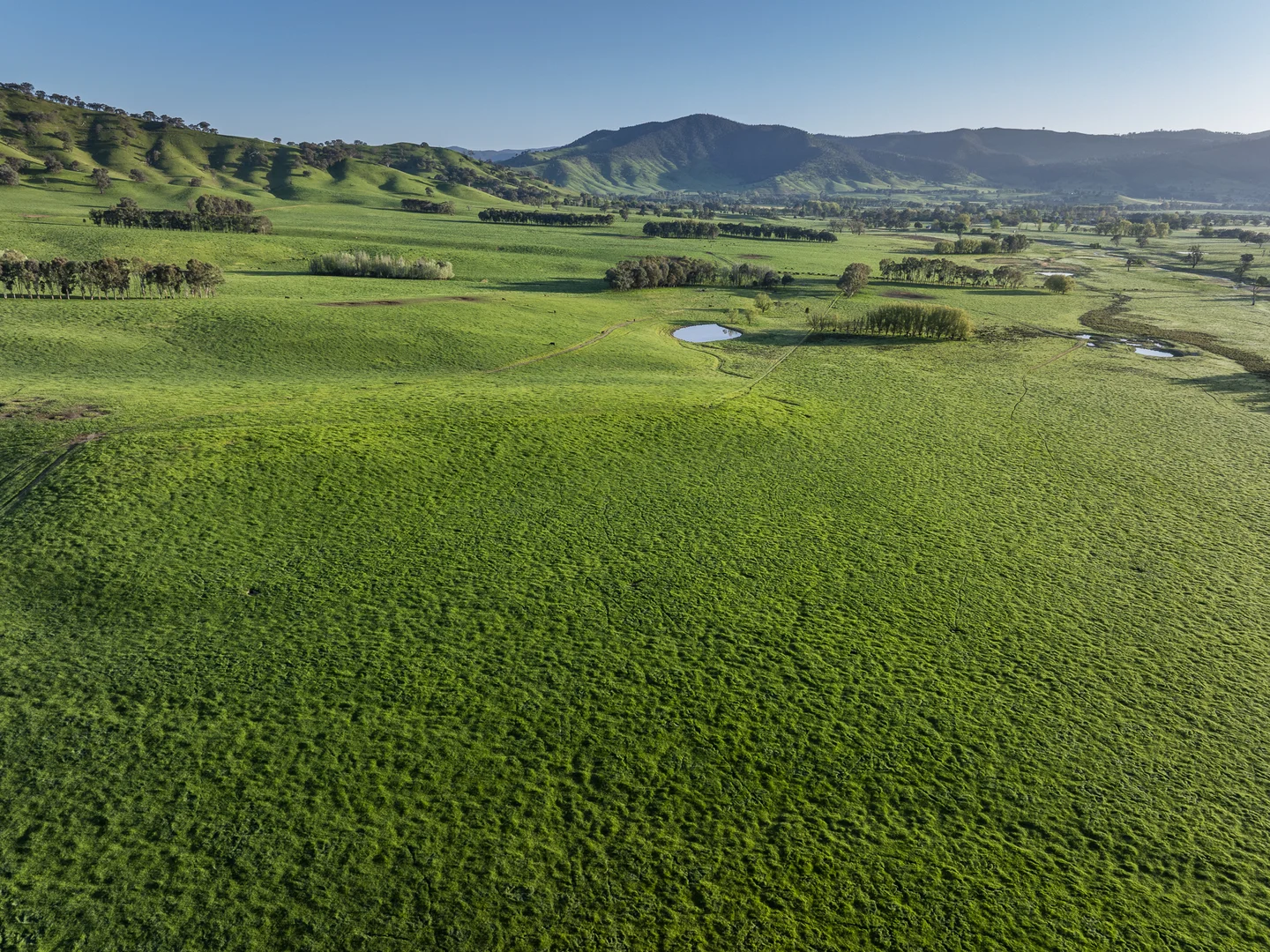 Additional image 25 of 3091 Shelley Road, Walwa VIC 3709