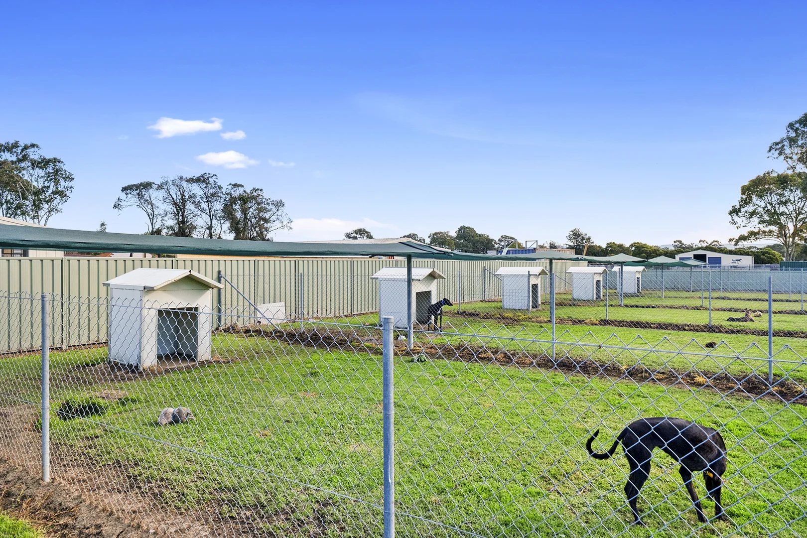 Additional image 13 of 295-301 Reynolds Road, Londonderry NSW 2753