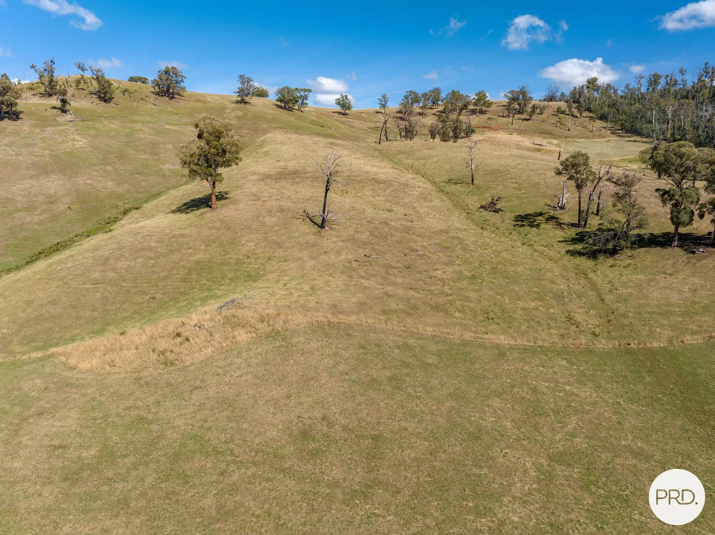 Additional image 49 of 1100 Batlow Road, Tumbarumba NSW 2653
