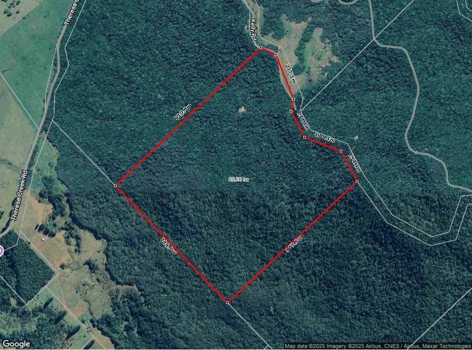 Additional image 5 of Lot 213 Kelly Road, Ellinjaa QLD 4886