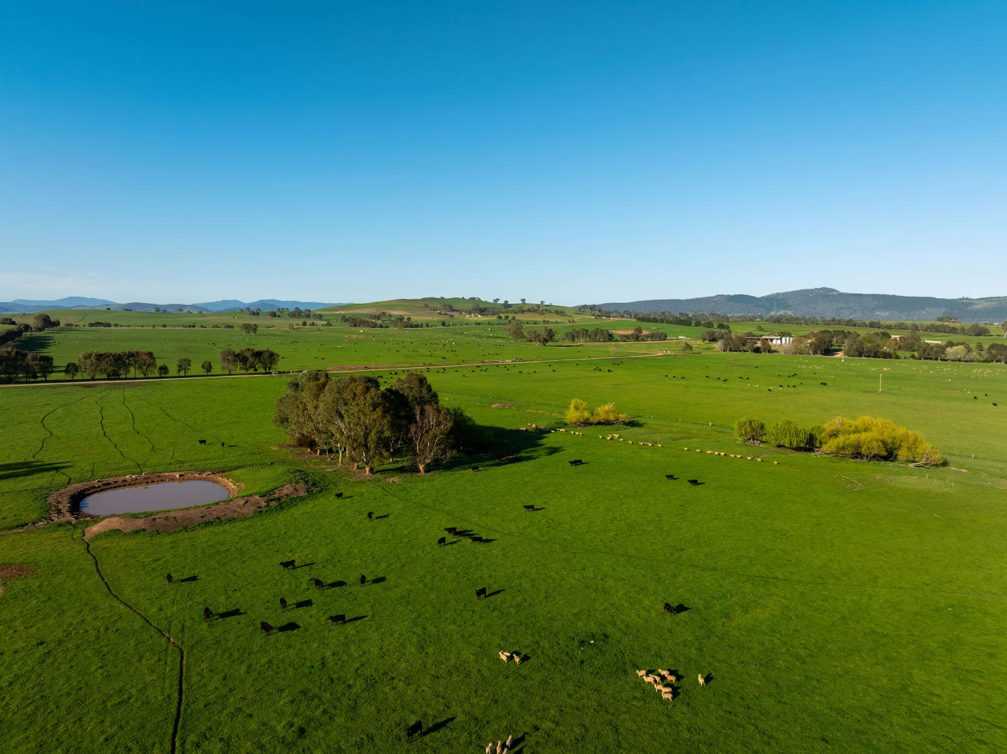 Additional image 5 of 95 Stoneys Road, Mansfield VIC 3722
