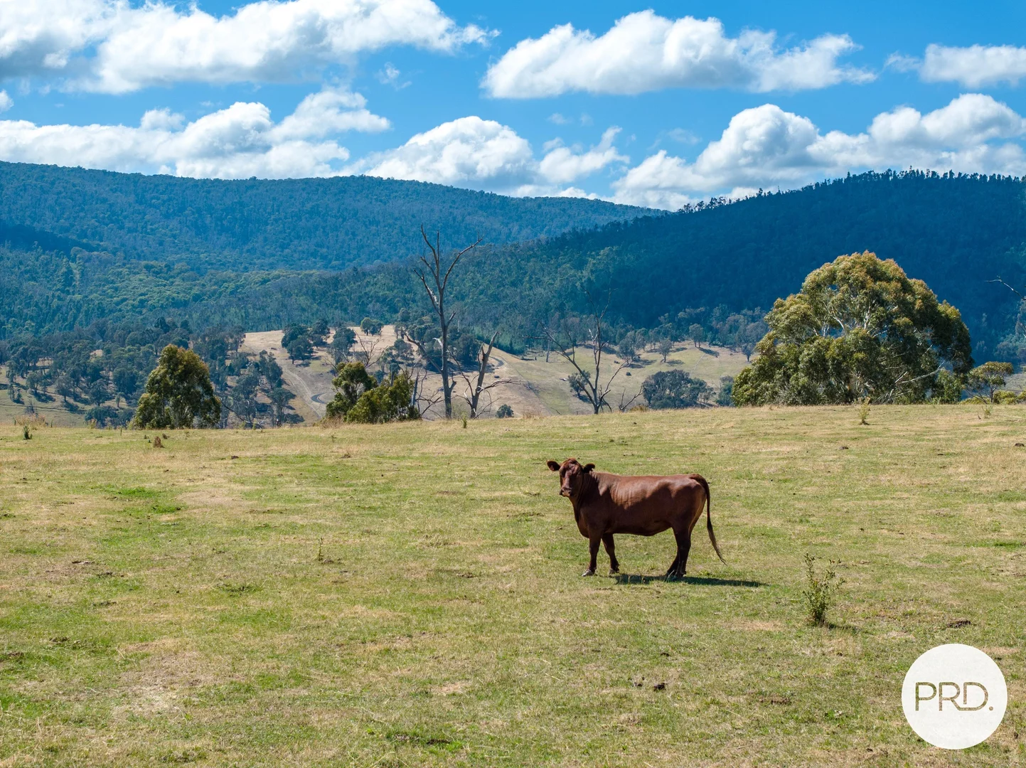 Additional image 30 of 1100 Batlow Road, Tumbarumba NSW 2653