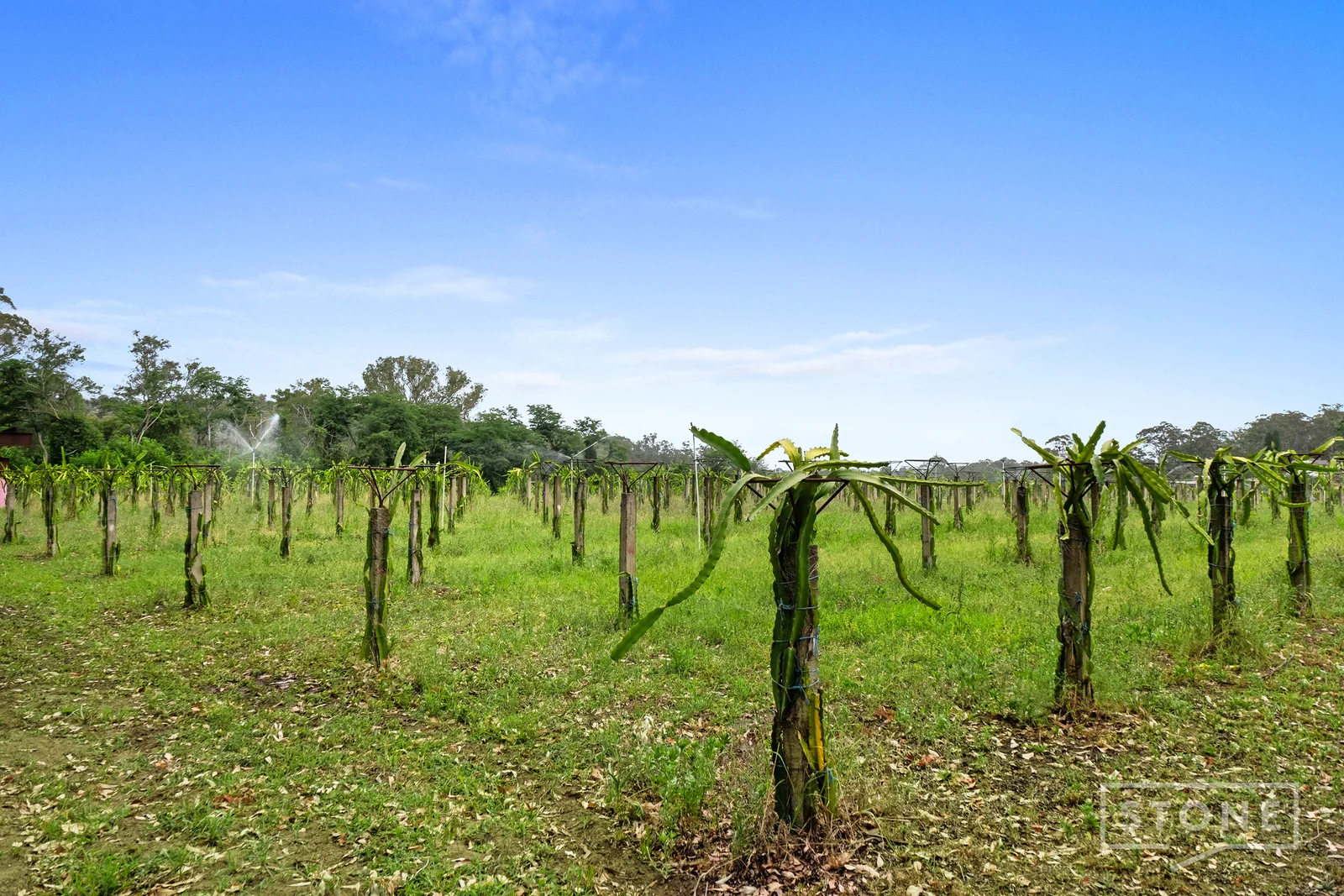 Additional image 12 of 900 Sackville Road, Sackville NSW 2756