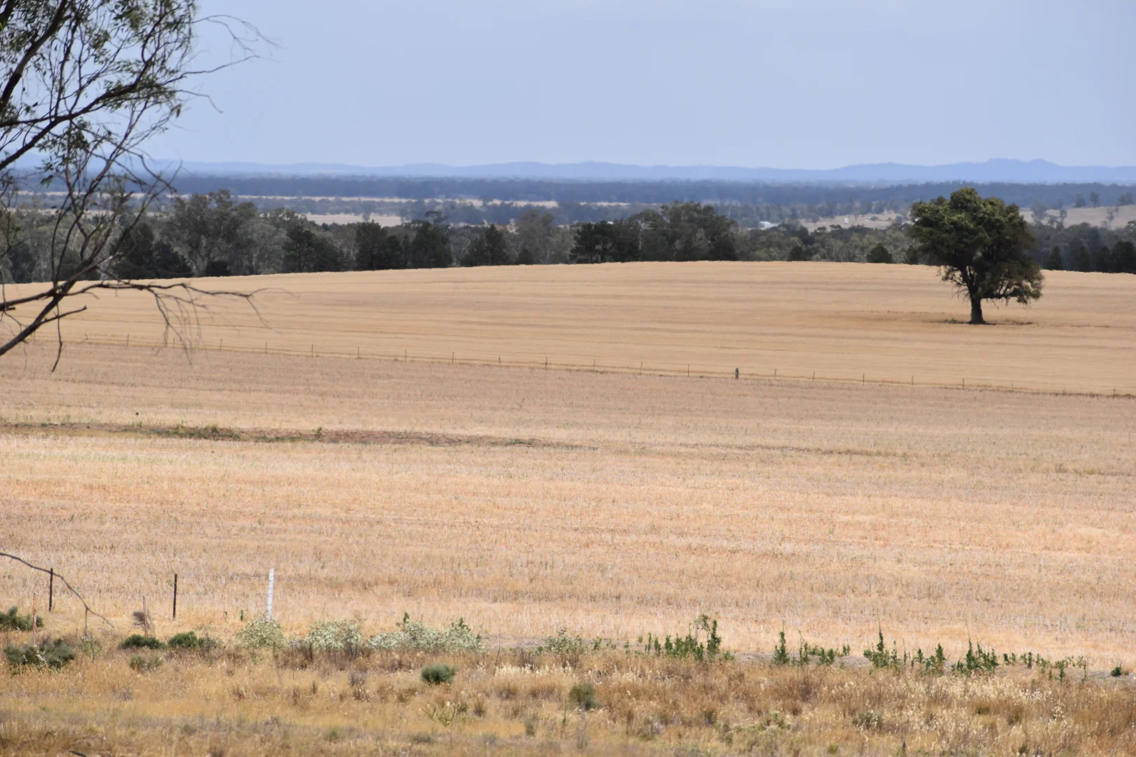 Additional image 32 of 76 Kerrs Lane, Caragabal NSW 2810
