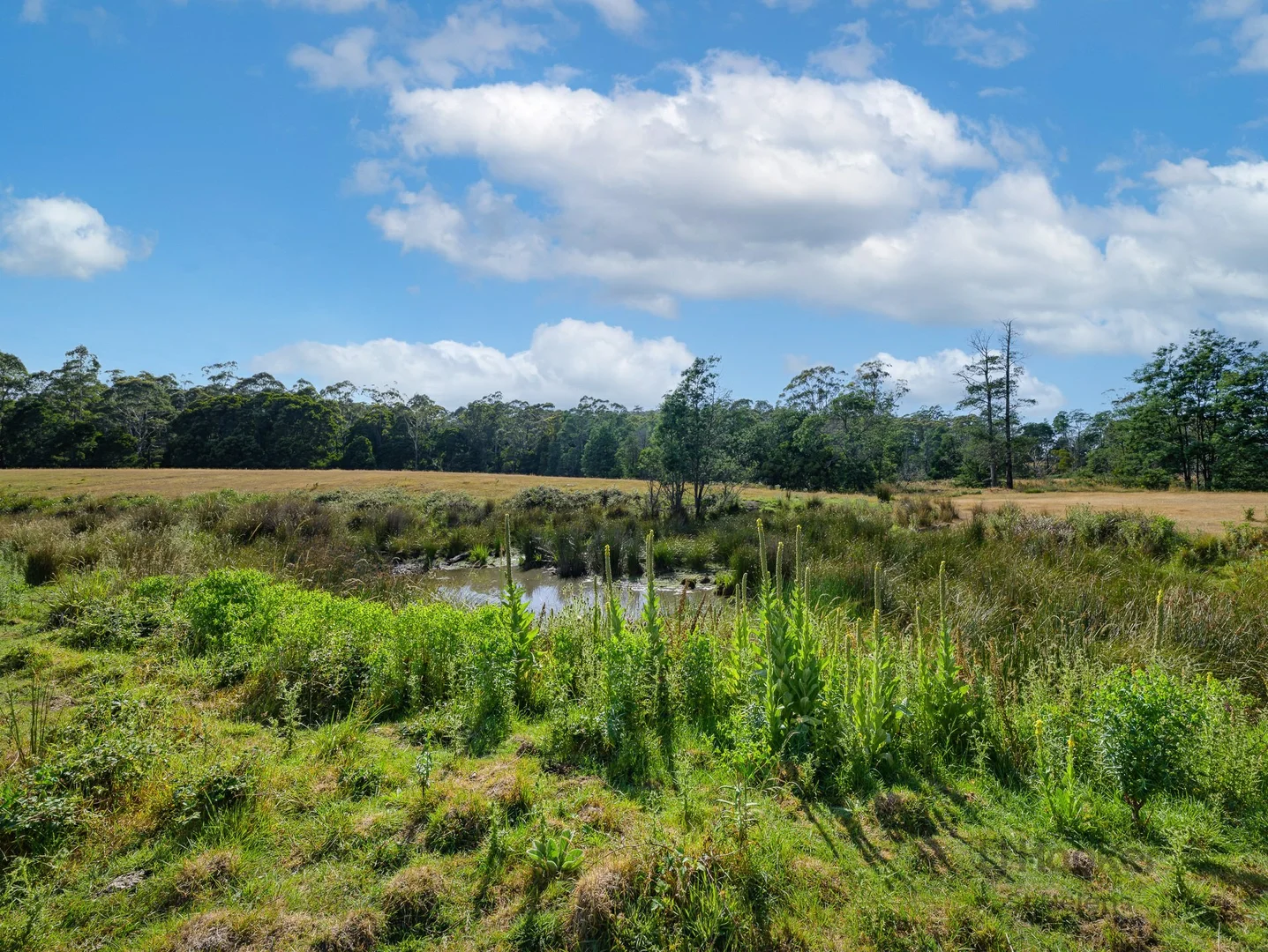 Additional image 12 of 96 Terrys Hill Road, Goshen TAS 7216