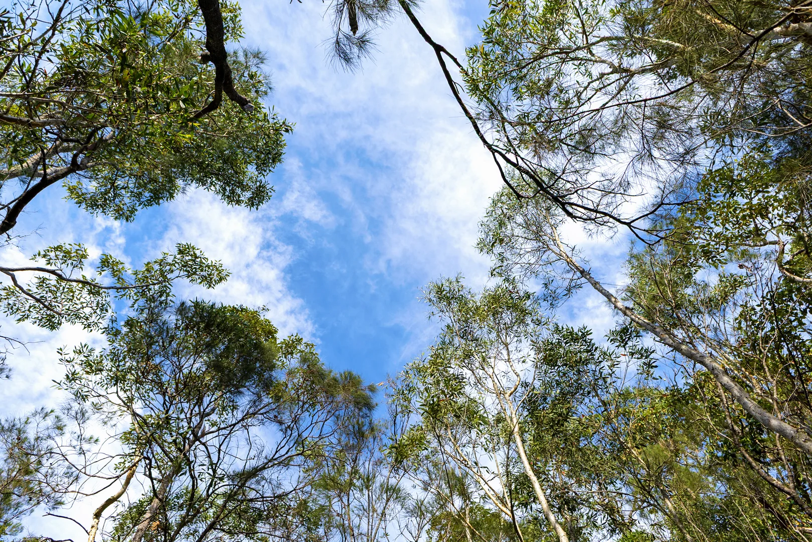 Additional image 9 of 40 Lakewood Drive, Peregian Beach QLD 4573