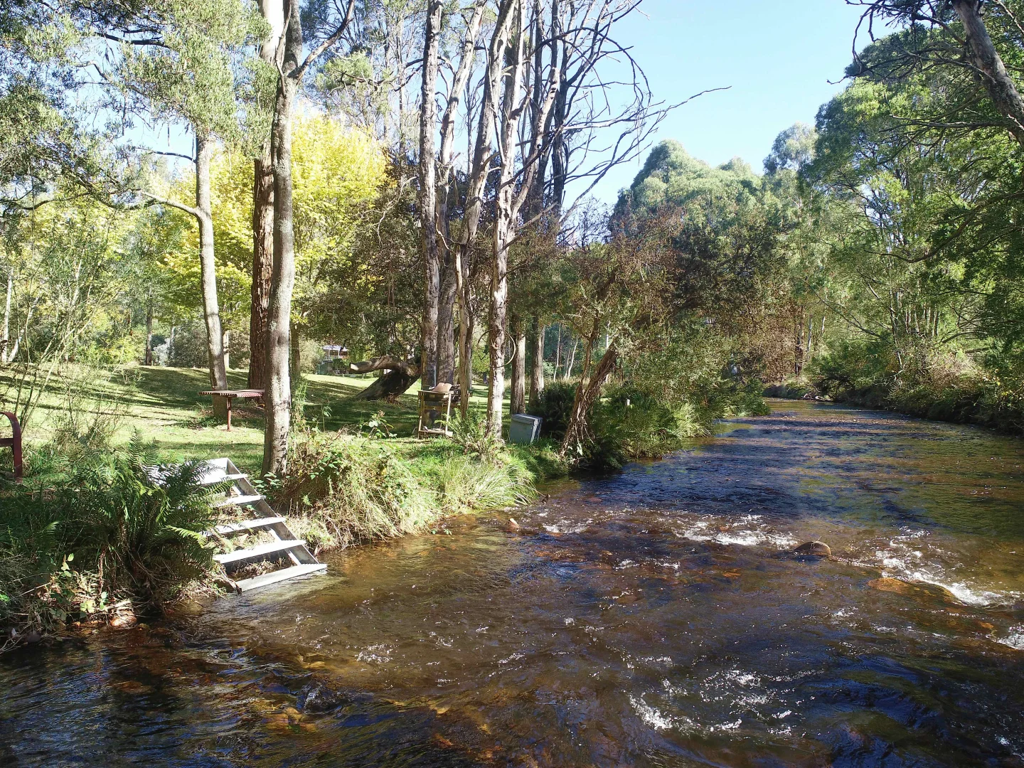 Additional image 15 of 2633 Mt Buller Road, Merrijig VIC 3723