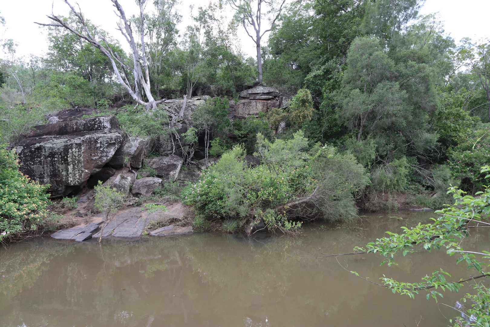 Additional image 20 of 890 Boulder Creek Rd, Boulder Creek QLD 4714