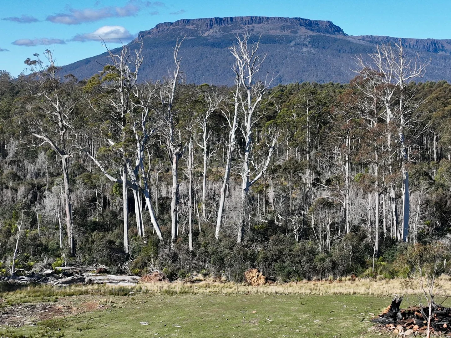 Additional image 14 of 560 Gads Hill Road, Mersey Forest TAS 7304