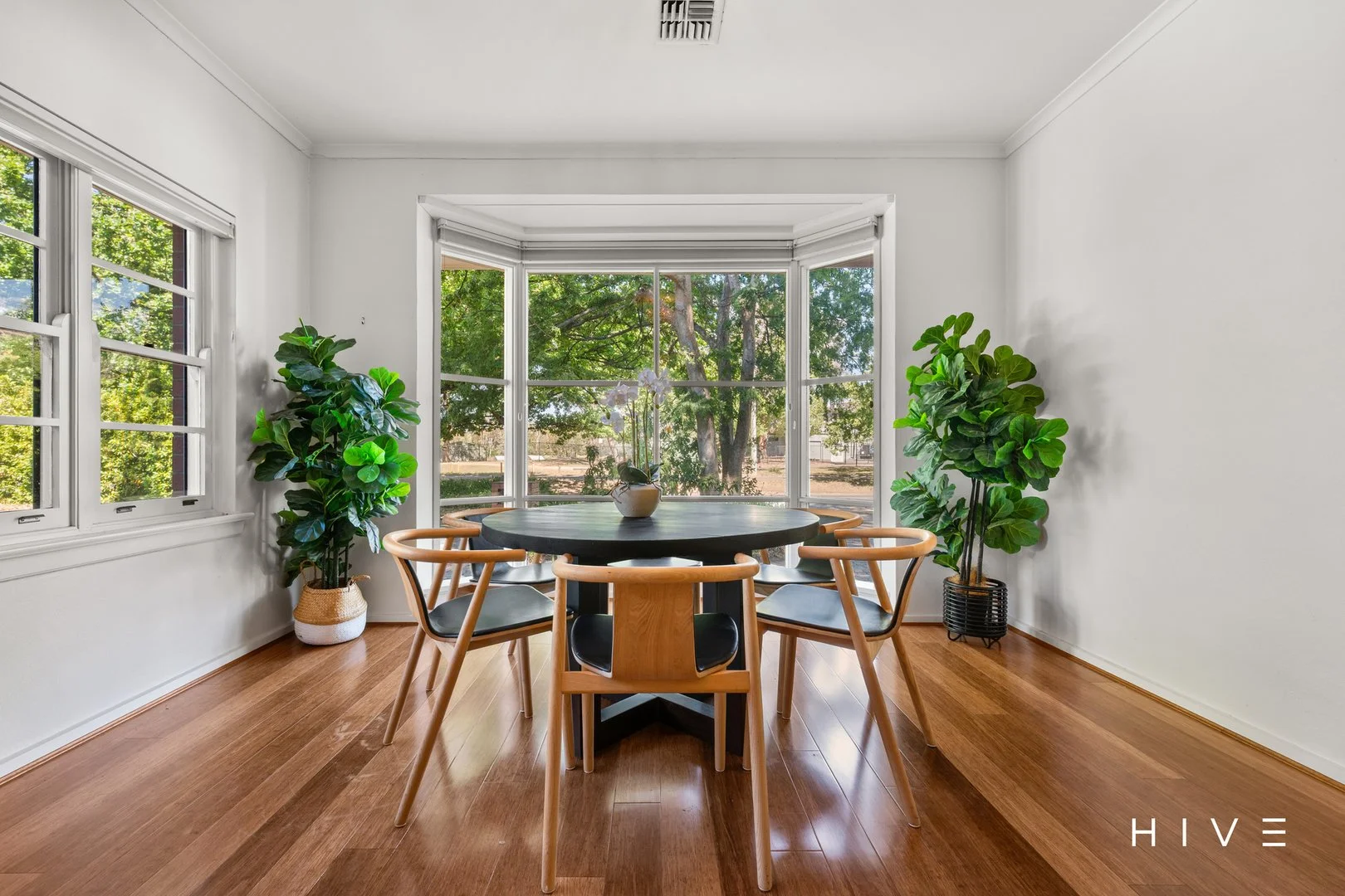 Additional image 11 of 7 McCaughey Street, Turner ACT 2612