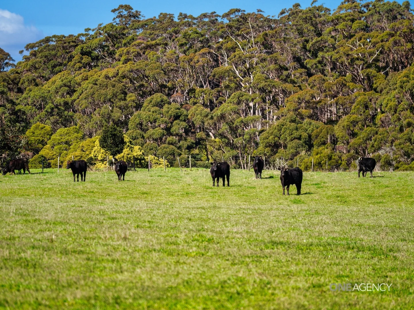Additional image 9 of 206 Murrays Lane, South Forest TAS 7330