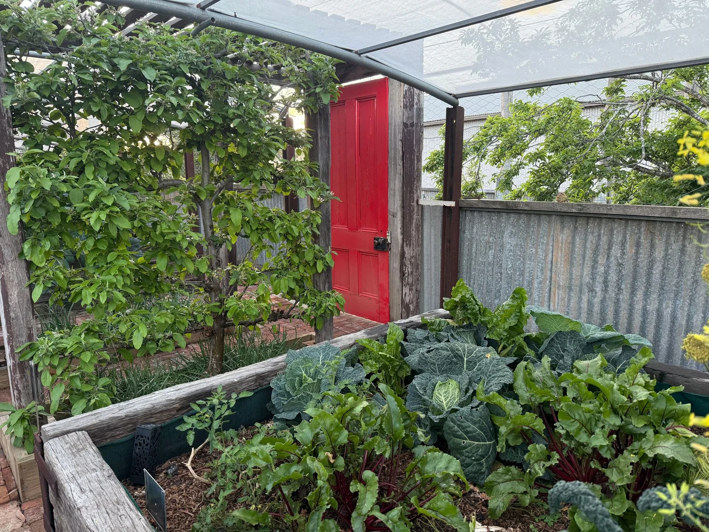 Additional image 34 of 4 Morrell Street, Cuballing WA 6311