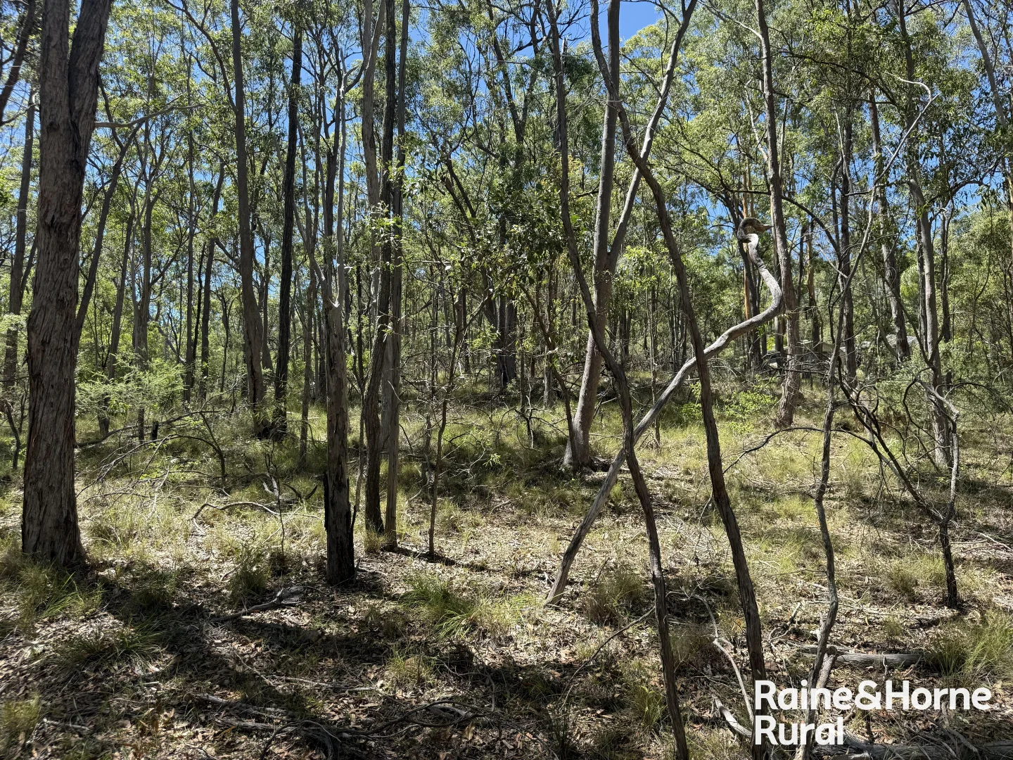 Additional image 8 of Lot 158 Brocklehurst road, Wattle Camp QLD 4615