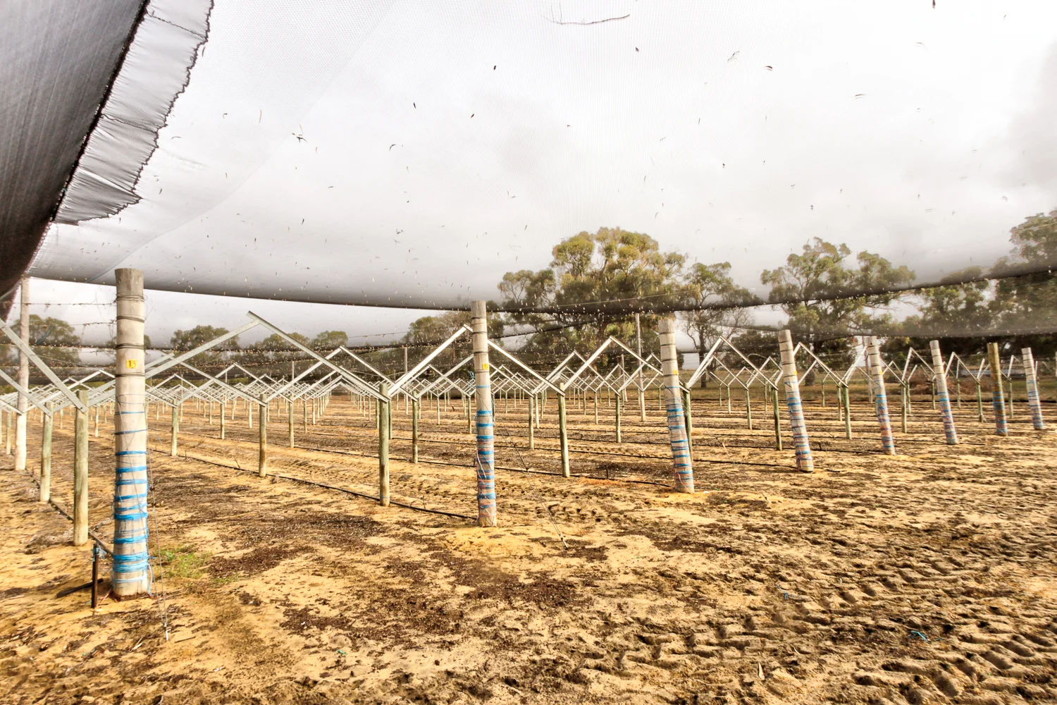 Additional image 19 of 317 Rangeview Drive, Wanerie WA 6503