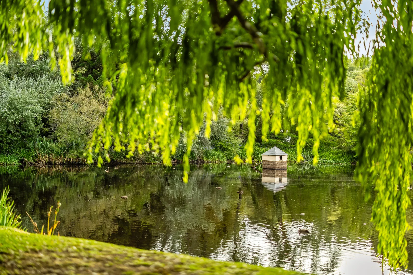 Additional image 5 of 30 Coromandel Road, Aldgate SA 5154