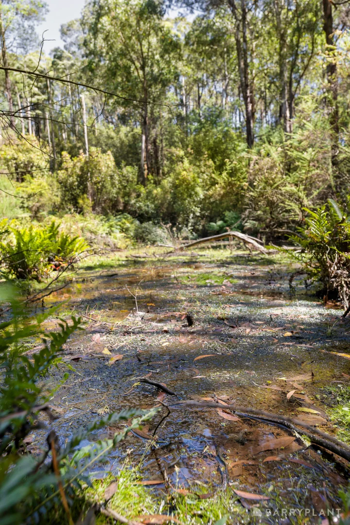 Additional image 7 of 39 Howard Road, Kinglake VIC 3763