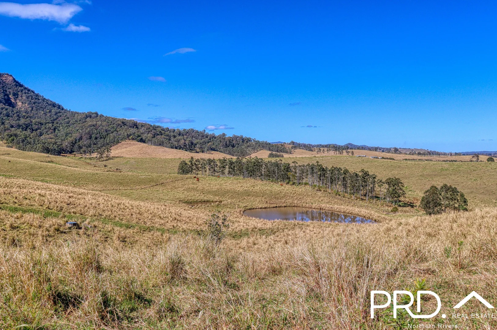 Additional image 9 of Lynches Creek Road, Wiangaree NSW 2474