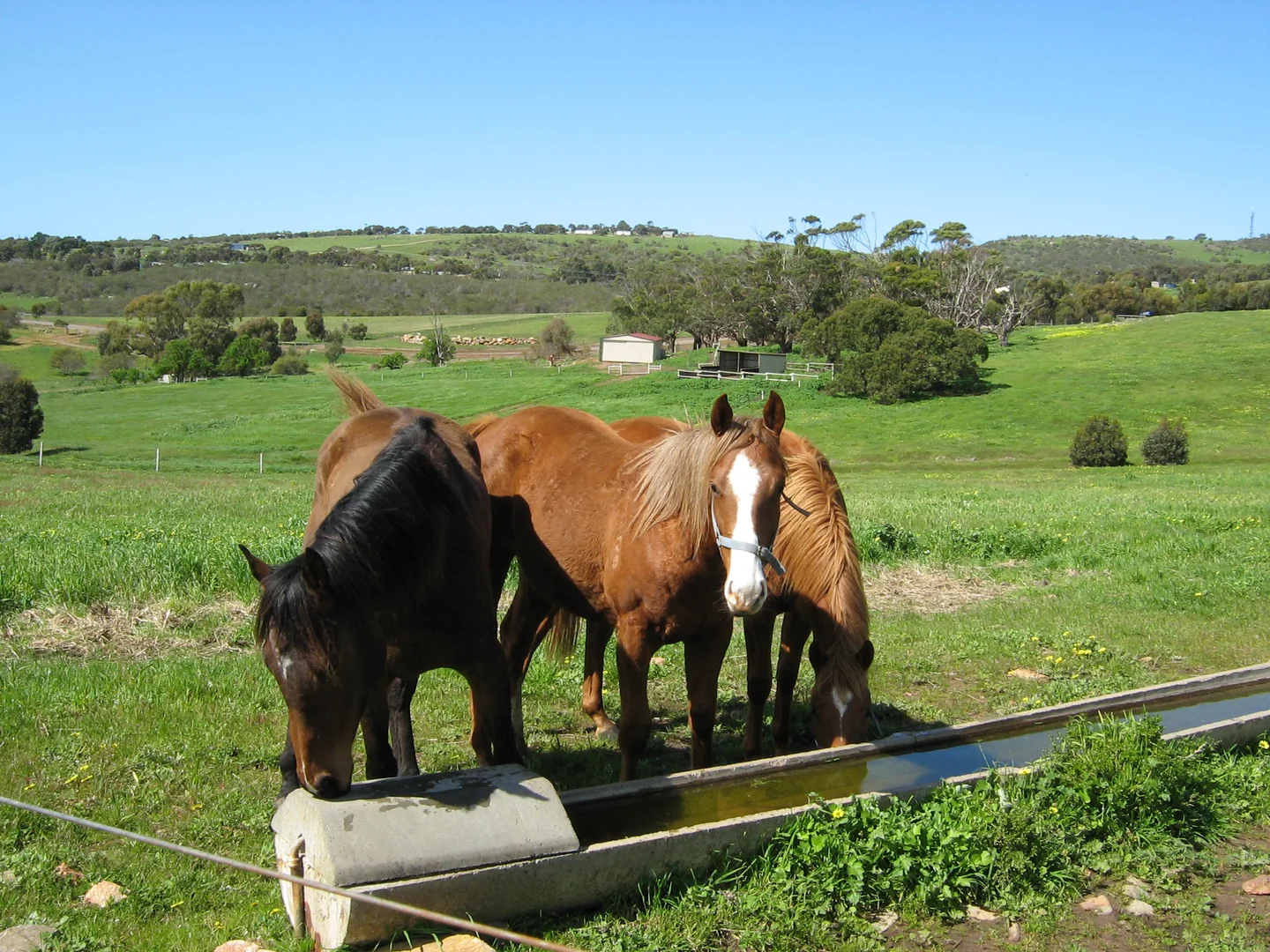 Additional image 3 of 7 Hidden Valley Lane, Boston SA 5607
