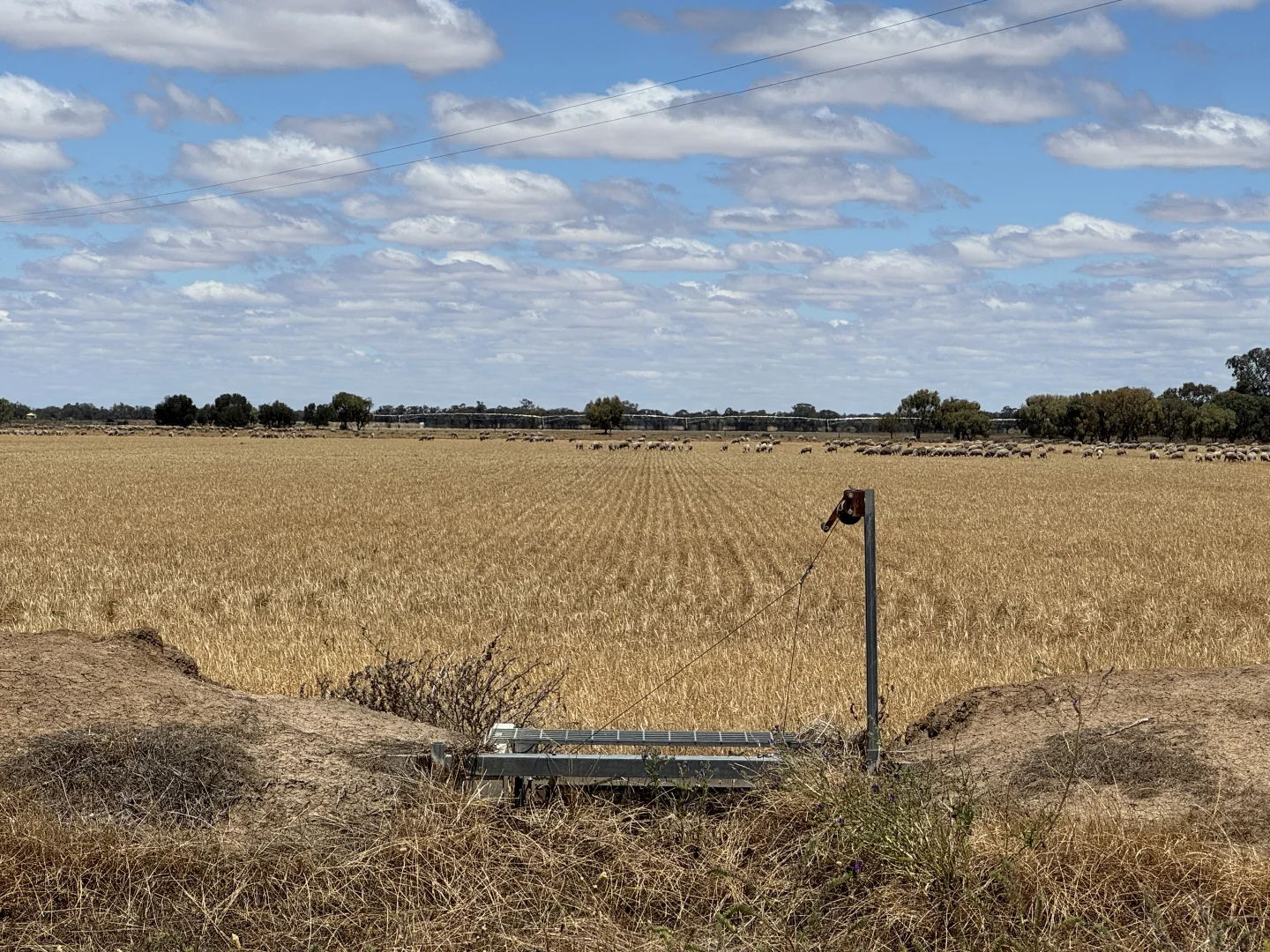 Additional image 44 of 300 Devon Road, Deniliquin NSW 2710