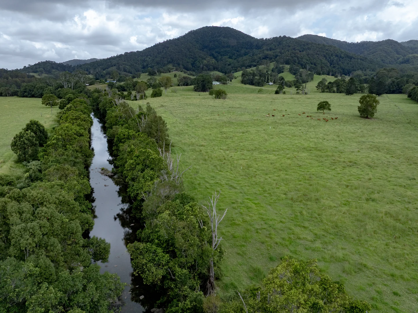 Additional image 11 of 43 Cutmore Road, Obi Obi QLD 4574